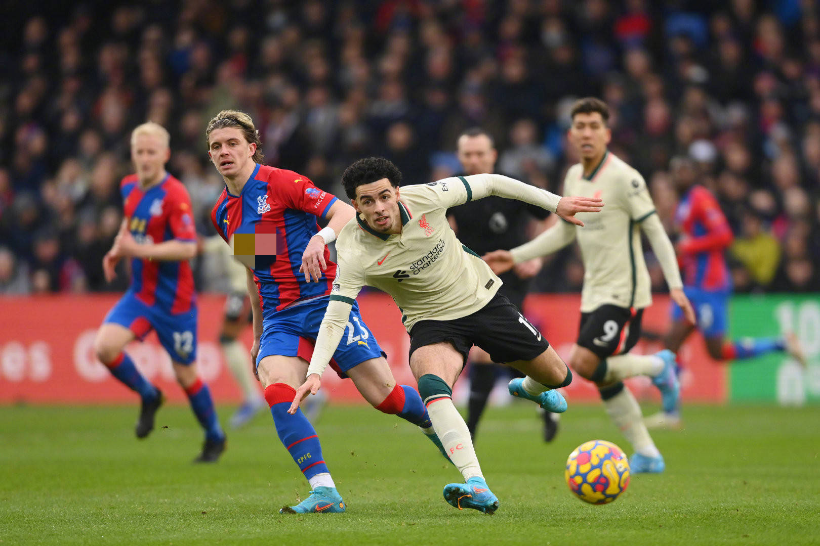 析合同条款 析合同条款